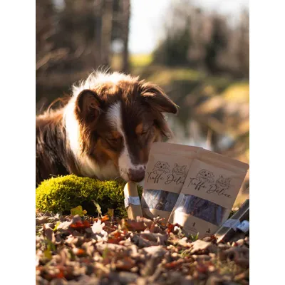 Friandises de poulet