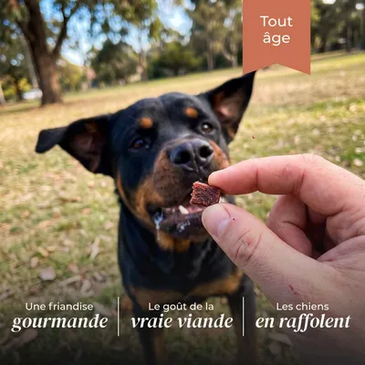 TRUFFE DÉLICE Friandises bœuf TRUFFE DÉLICE Friandises bœuf