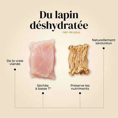 TRUFFE DÉLICE Friandises lapin TRUFFE DÉLICE Friandises lapin