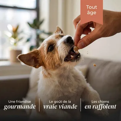TRUFFE DÉLICE Friandises lapin TRUFFE DÉLICE Friandises lapin