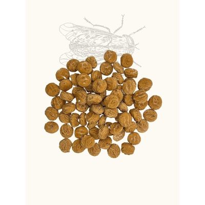 TRUFFE DÉLICE Friandises mouches