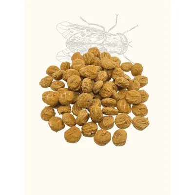 Friandises mouche soldat noire & pomme