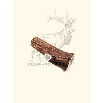TRUFFE DÉLICE Bois de cerf chien TRUFFE DÉLICE Bois de cerf chien