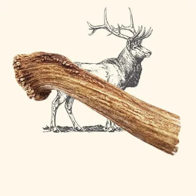 TRUFFE DÉLICE Bois de cerf chien TRUFFE DÉLICE Bois de cerf chien