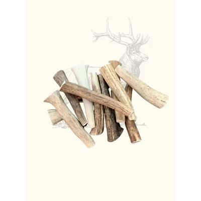 Truffe Délice Bois de cerf chien