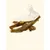TRUFFE DÉLICE Peaux de lapin
