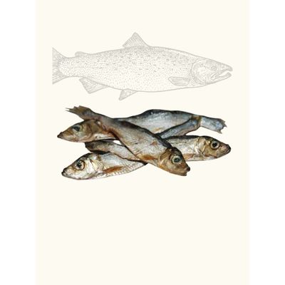 TRUFFE DÉLICE Sprats