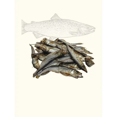 Petits poissons - sprats