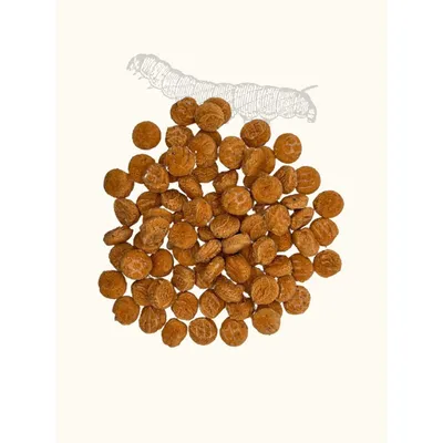 Friandises bombyx du mûrier & carotte
