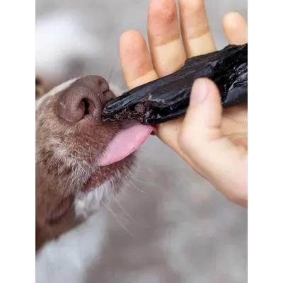 TRUFFE DÉLICE Foies de bœuf TRUFFE DÉLICE Foies de bœuf