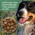 Croquettes chien adulte – Dr John Poulet & Avoine Croquettes chien adulte – Dr John Poulet & Avoine