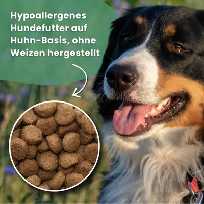 Dr John mit Huhn & Hafer für ausgewachsene Hunde – 12.5 kg Dr John mit Huhn & Hafer für ausgewachsene Hunde – 12.5 kg