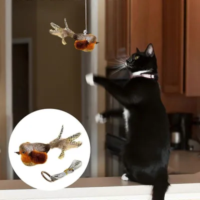 MCBOSON Teaser Angelrute Katzenaccessoire