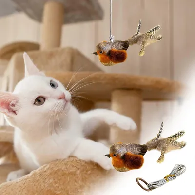 MCBOSON Canne à pêche Teaser accessoirespour chat