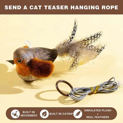 MCBOSON Canne à pêche Teaser accessoirespour chat