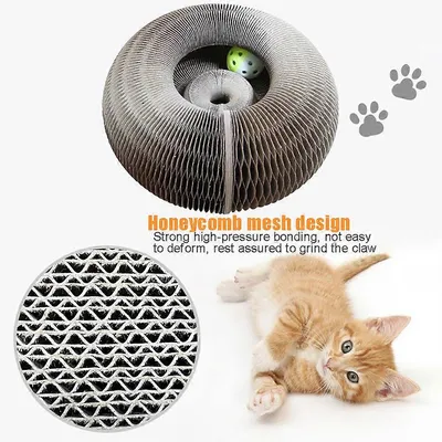 MCBOSON Canne à pêche Teaser accessoirespour chat