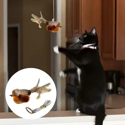 MCBOSON Canne à pêche Teaser accessoirespour chat