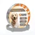 MCBOSON  Collier Antiparasitaire Chien