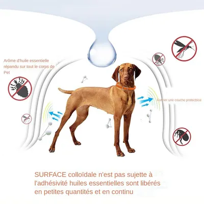MCBOSON  Collier Antiparasitaire Chien