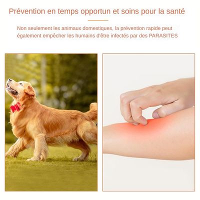 MCBOSON  Collier Antiparasitaire Chien
