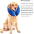 MCBOSON Collerette gonflable ajustable en peluche et PVC MCBOSON Collerette gonflable ajustable en peluche et PVC