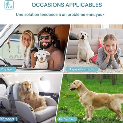 MCBOSON Culottes hygiéniques pour chien