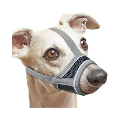 MCBOSON Muselière pour chien en nylon réfléchissant MCBOSON Muselière pour chien en nylon réfléchissant