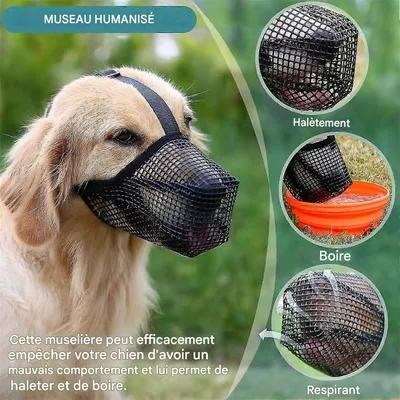 MCBOSON  Muselière pour chien