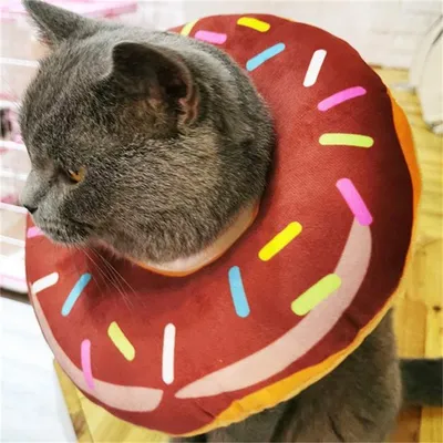 MCBOSON Collier de protection pour chien