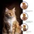 MCBOSON Floh- und Zeckenhalsband für Katzen