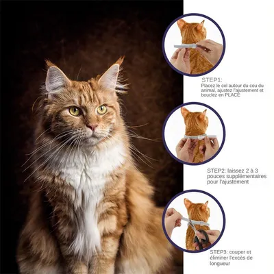 MCBOSON Floh- und Zeckenhalsband für Katzen