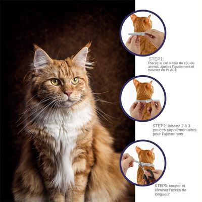 MCBOSON Collier Antiparasitaire Chat