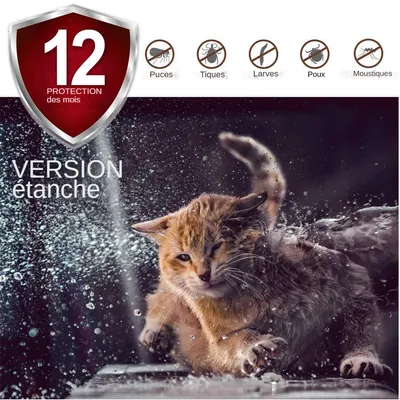 MCBOSON  Collier Antiparasitaire Chat