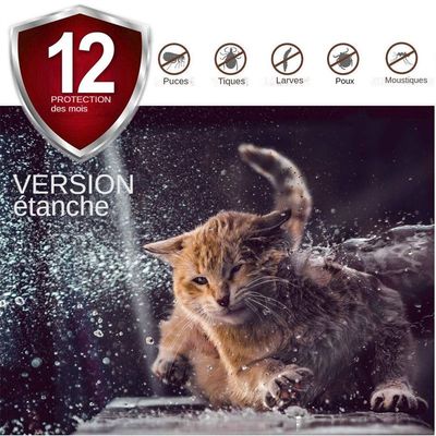 MCBOSON Floh- und Zeckenhalsband für Katzen