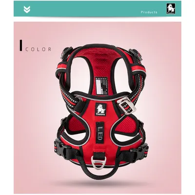 Truelove Country PLUS + Harnais chien dressage anti traction & promenade