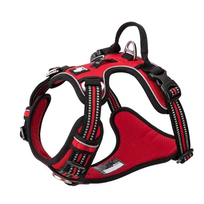 Harnais chien Truelove Country PLUS + dressage anti traction & promenade -