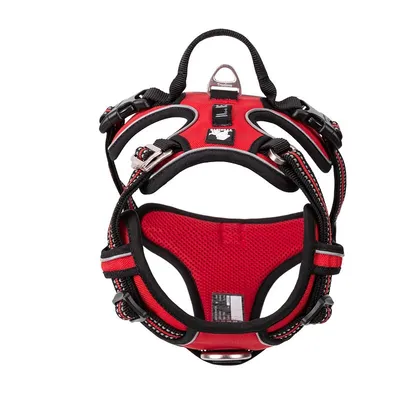 Truelove Country PLUS + Harnais chien dressage anti traction & promenade