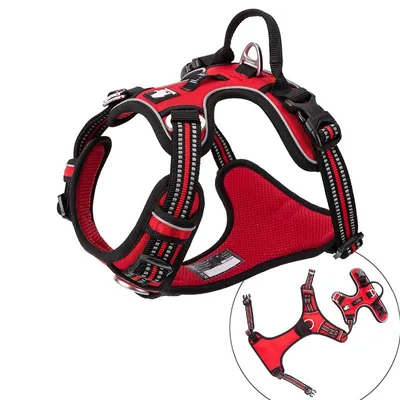 Truelove Country PLUS + Harnais chien dressage anti traction & promenade