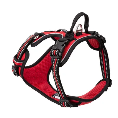 Truelove Country PLUS + Harnais chien dressage anti traction & promenade