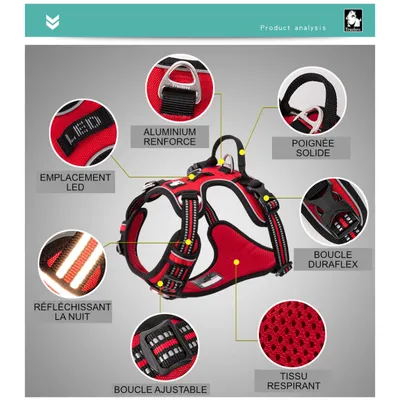 Truelove Country PLUS + Harnais chien dressage anti traction & promenade