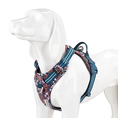 Harnais chien dressage anti traction & promenade TRUELOVE Country Plus + Sp
