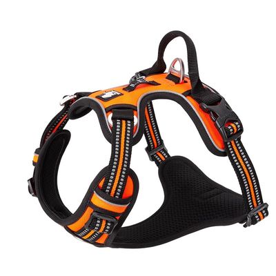 Harnais chien Truelove Country PLUS + dressage anti traction & promenade -
