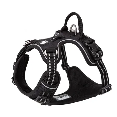 Harnais chien Truelove Country PLUS + dressage anti traction & promenade -