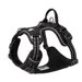 Harnais chien Truelove Country PLUS + dressage anti traction & promenade -