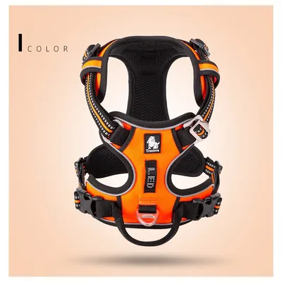 Harnais chien Truelove Country PLUS + dressage anti traction & promenade -