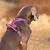 Harnais chien Truelove Country PLUS + dressage anti traction & promenade -