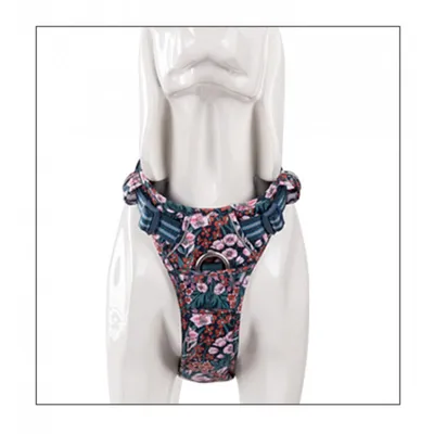 Harnais chien dressage anti traction & promenade TRUELOVE Country Plus + Sp