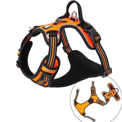 Harnais chien Truelove Country PLUS + dressage anti traction & promenade -