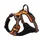 country-orange XL : 80 - 95 cm