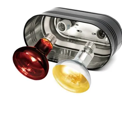 IntiMeg Lampe chauffante pour animaux de compagnie IntiMeg Lampe chauffante pour animaux de compagnie